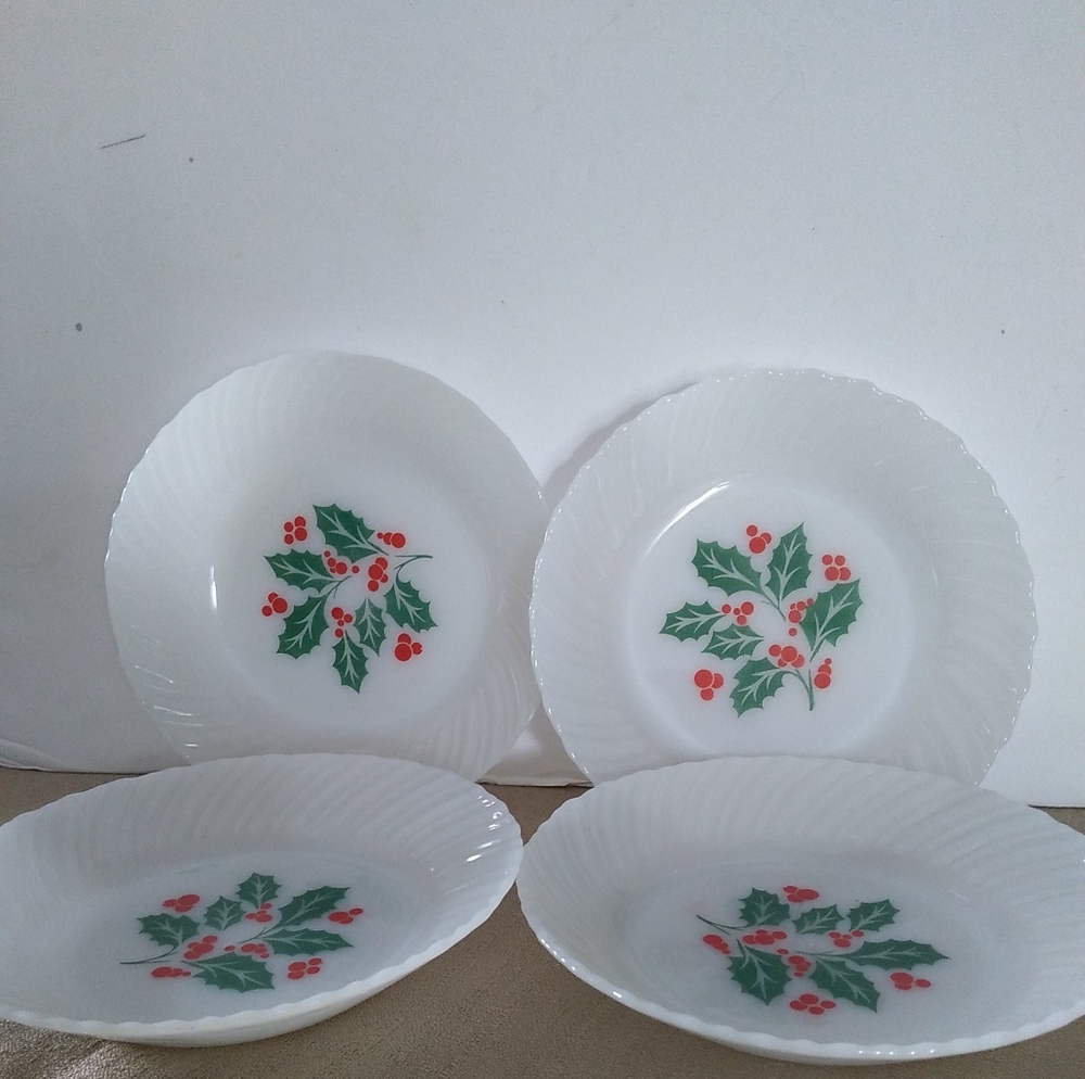 Termocrisa 4 Soup Salad Plates
